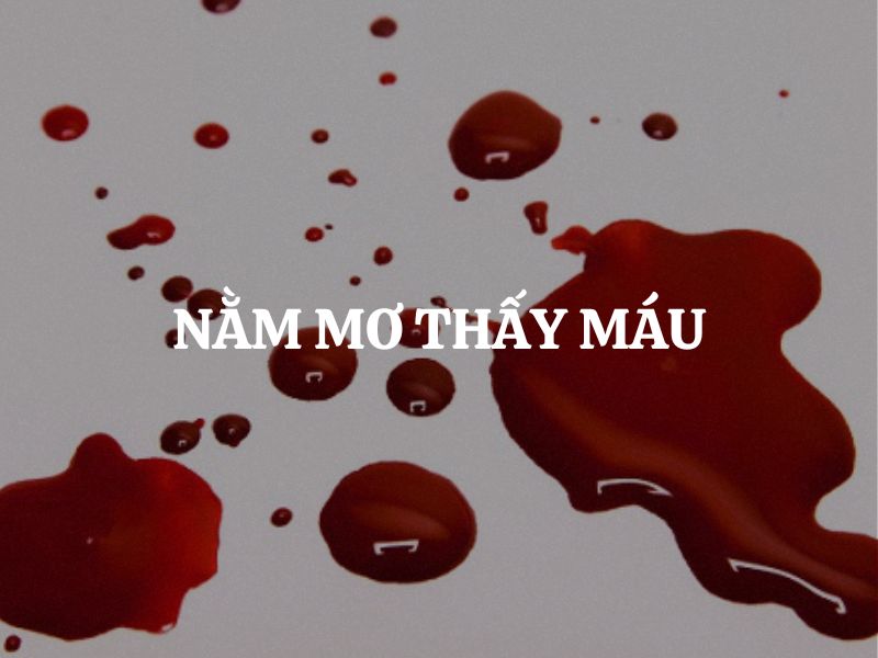 nam-mo-thay-mau-danh-con-gi-giai-ma-giac-mo-thay-mau-chuan-nhat-20262