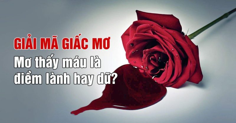nam-mo-thay-mau-danh-con-gi-giai-ma-giac-mo-thay-mau-chuan-nhat-20264